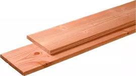 Woodvision douglas plank geschaafd 2.8x24.5x500 cm onbehandeld kopen?