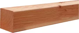 Woodvision douglas vierkante paal geschaafd 14.5x14.5x300 cm onbehandeld - afbeelding 1