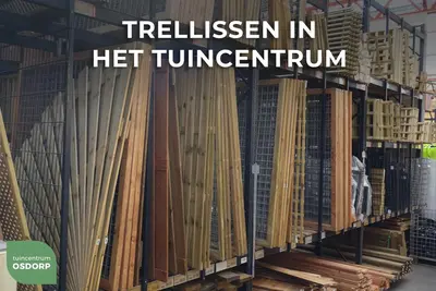 Woodvision grenen trellis robuust 60x180 cm geimpregneerd - afbeelding 2