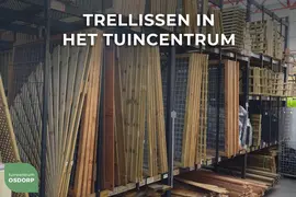 Woodvision grenen trellis robuust 60x180 cm geimpregneerd - afbeelding 2