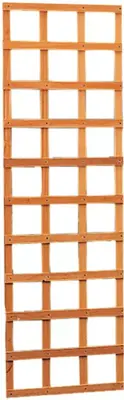 Woodvision hardhouten trellis rechthoek 56x180 cm - afbeelding 1