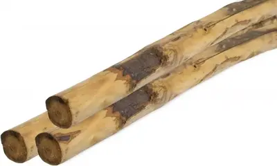 Woodvision kastanje ronde paal geschild 6x8x250 cm onbehandeld - afbeelding 1