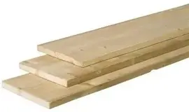 Woodvision vuren plank fijnbezaagd 1.9x20x180 cm geïmpregneerd kopen?