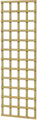 Woodvision vuren trellis de luxe 60x180 cm geimpregneerd - afbeelding 1