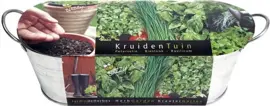 Zinken teiltje aromatische kruiden zaden - afbeelding 1