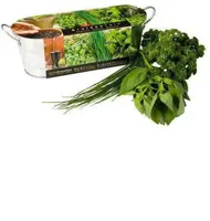 Zinken teiltje aromatische kruiden zaden - afbeelding 2