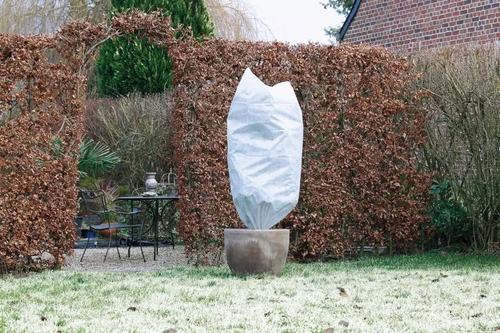 Gebruik een winterafdekhoes om je planten te beschermen