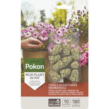 Pokon Terras & Balkon Planten Voedingskegels 10 stuks