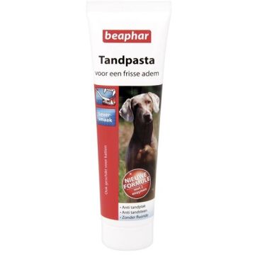 Tandpasta 100g