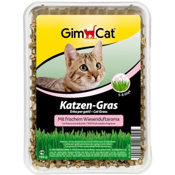 Gimcat kattengras met weiland aroma 150g