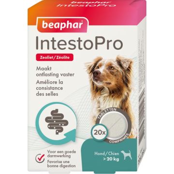 Beaphar IntestoPro tabletten hond vanaf 20kg