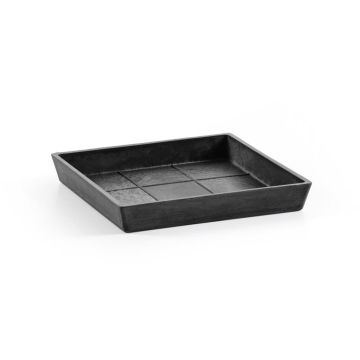 Ecopots kunststof rotterdam schotel 18x18x2.5 cm donkergrijs    