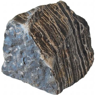 Aquarium steen leopard stone S